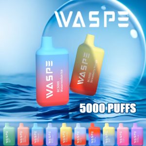 Waspe BC5000 Puffs 