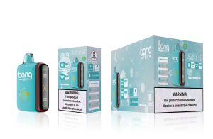 Bang box 9000/18000 Puff Vape