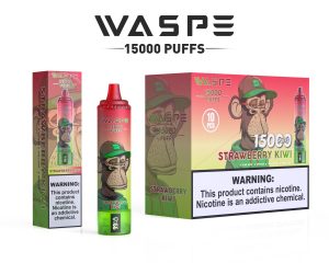 Waspe 15000 puff Vape