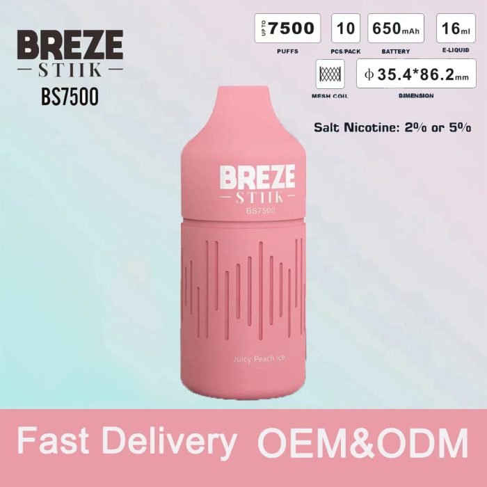 BREZE STIIK BS Disposable Vape