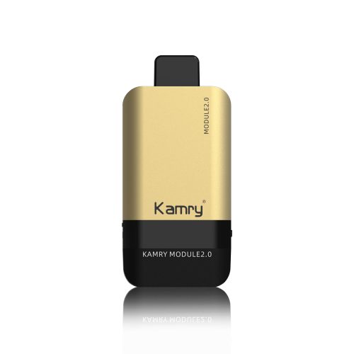 Kamry Modul 12000 Disposable Vape