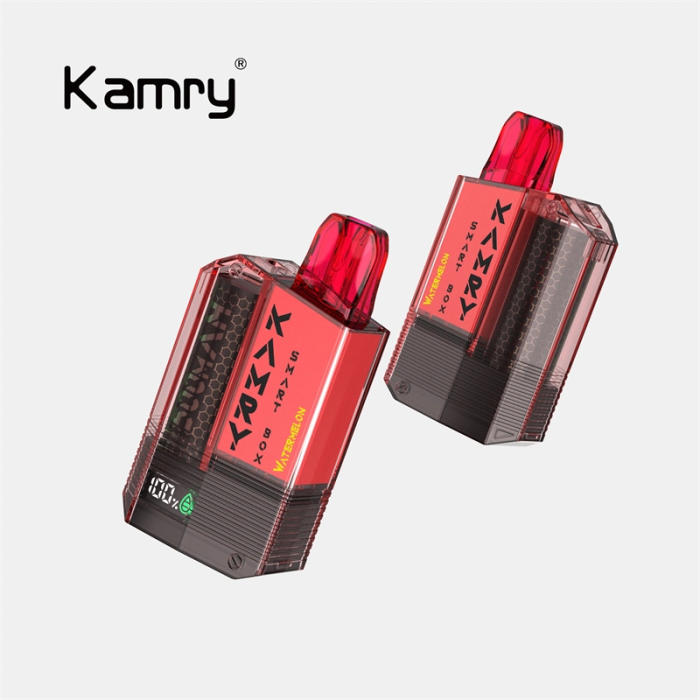 wholesales Kamry Smart BOX 800 puff Disposable Vape