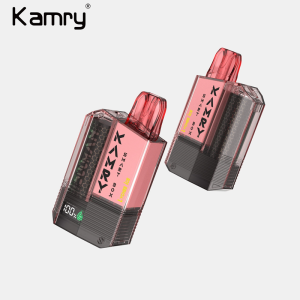 in stock Kamry Smart BOX 800 puff Vape