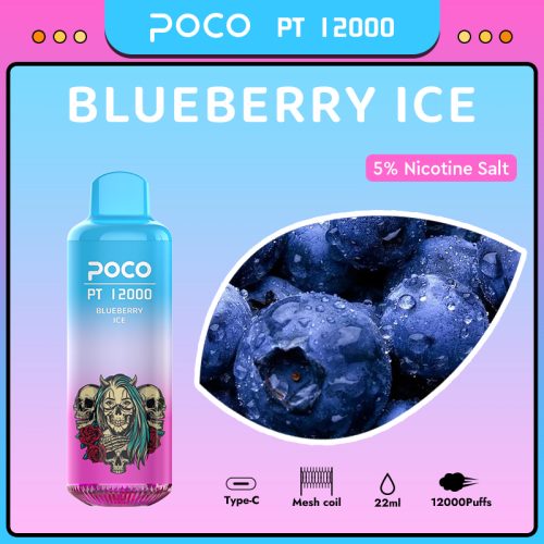 wholesales POCO PT 12000 Vape