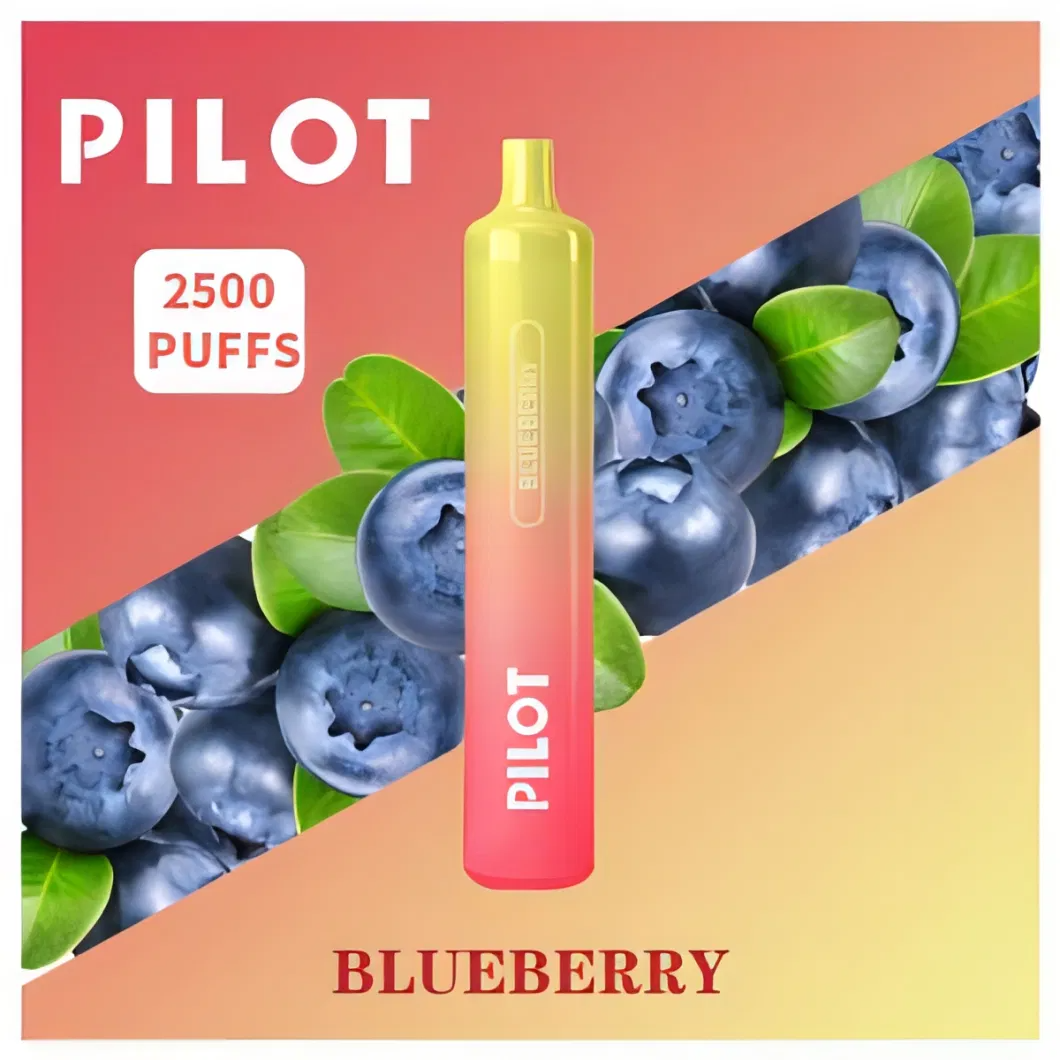 wholesales Pilot max 2500 puff Vape