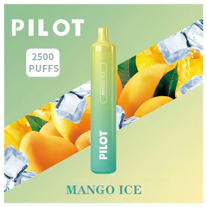 Pilot max 2500 puff Vape