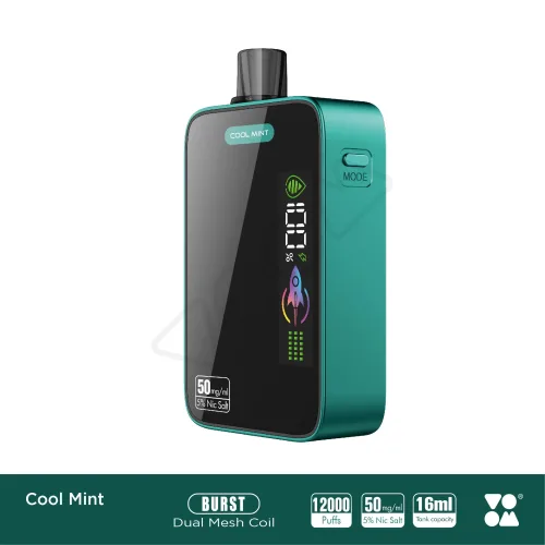 Voom burst 12000 puff Disposable Vape