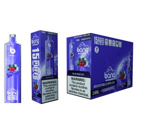 Bang Shisha 15000 Disposable Vape