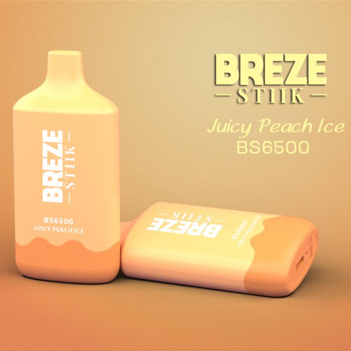 wholesales Breze Stiik BS6500 Vape