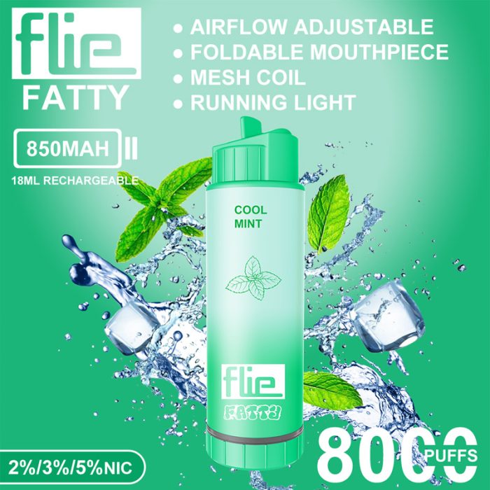 flie fatty 8000