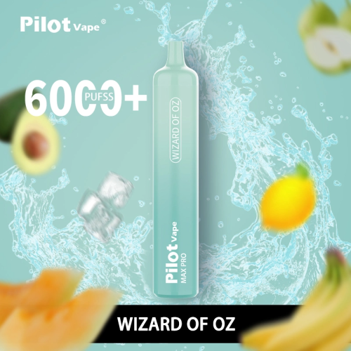 Pilot Max pro 6000 Disposable Vape