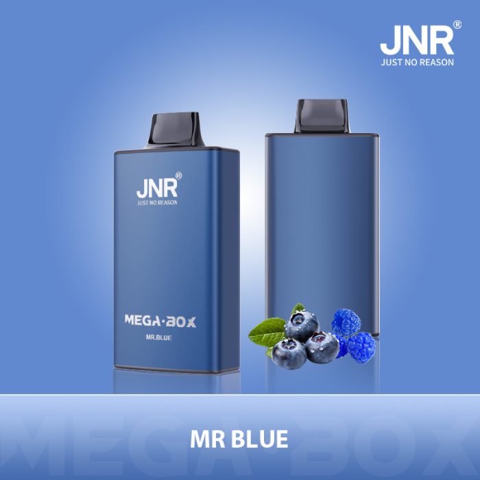 JNR Mega Box 25000 Vape