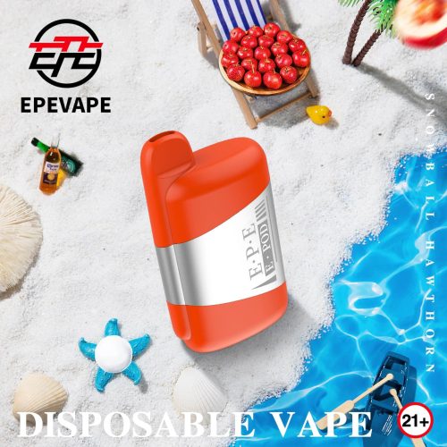 E POD 5500 Disposable Vape